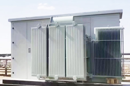 呼伦贝尔风力/光伏变电站